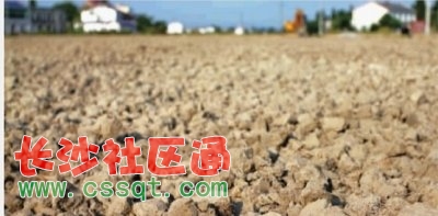 6Ռӭ(qing)Ÿߜ wC(j)ҪL(zhng)vǳ